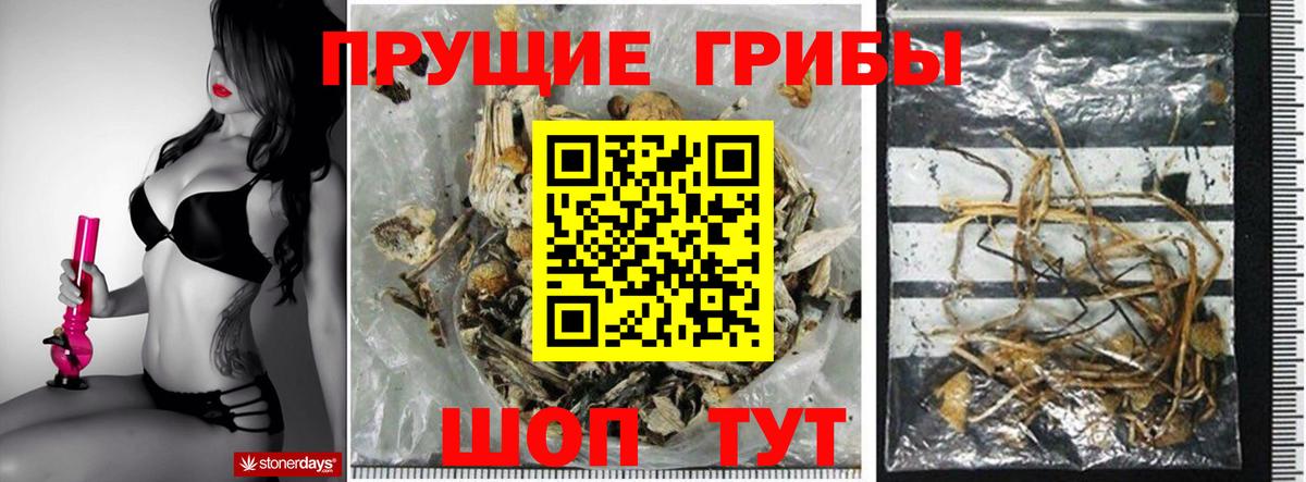 Керчь  Галлюциногенные грибы ЛСД  Вход с VPN 