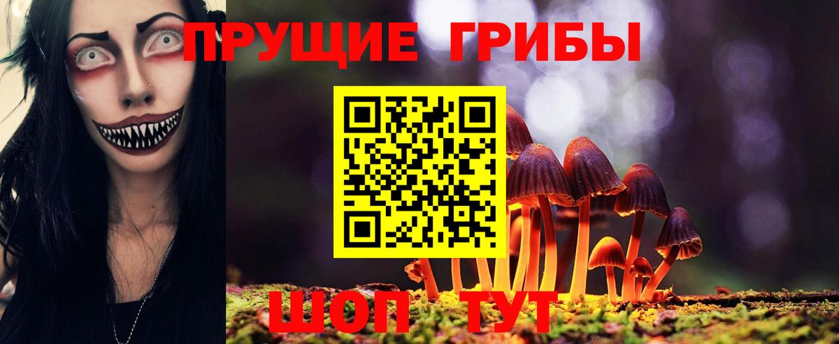 Галлюциногенные грибы GOLDEN TEACHER Керчь